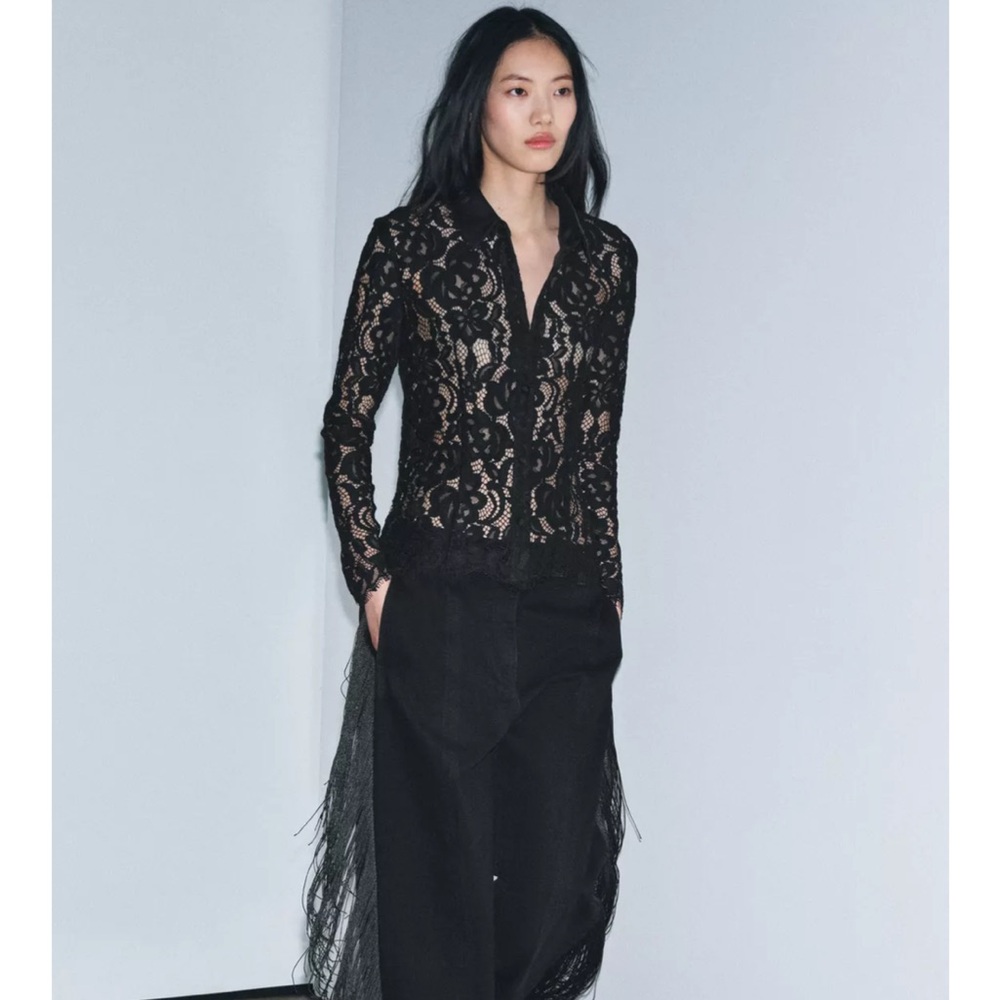 Zara Black Sheer Lace Blouse